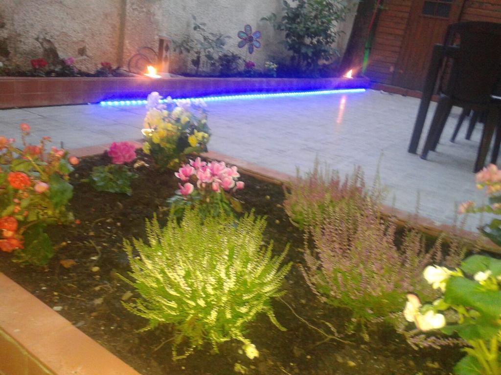 Monteverdi Garden 5*